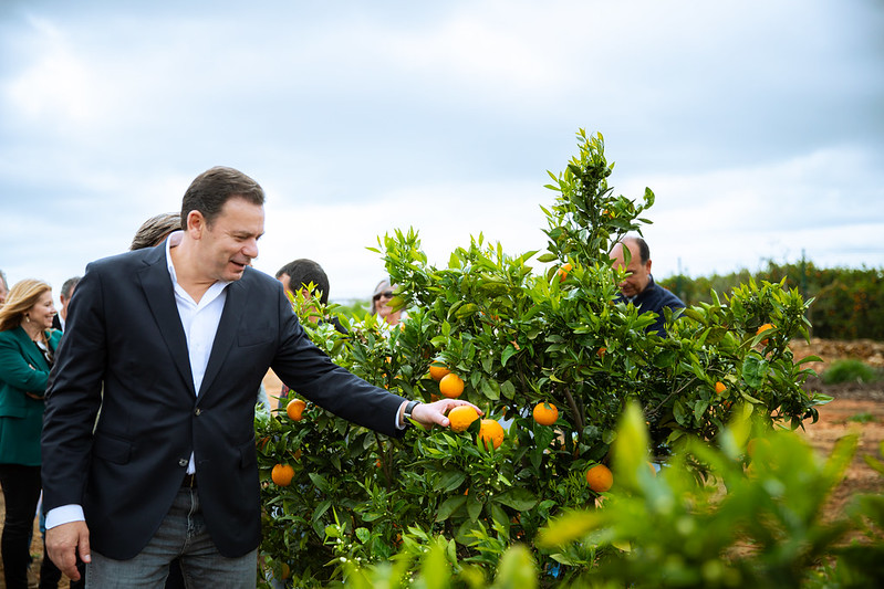 Visita a exploração de laranjas em Silves
