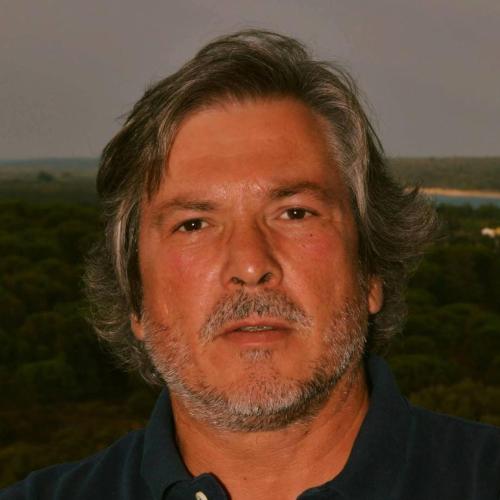 José Manuel Marques Gueifão Carrilho