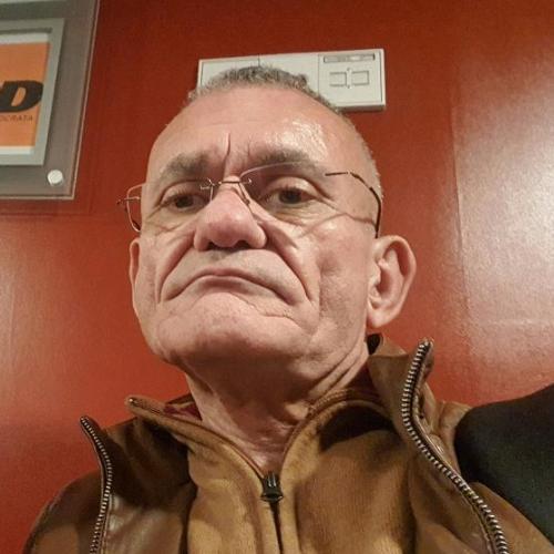 Paulo Luís Lopes de Mendonça Gomes Arruda Ribeiro