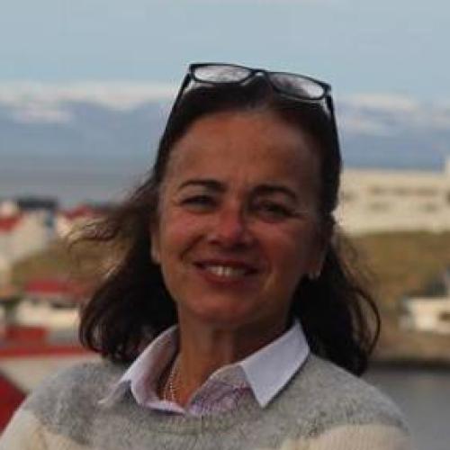Maria Angélica Alves